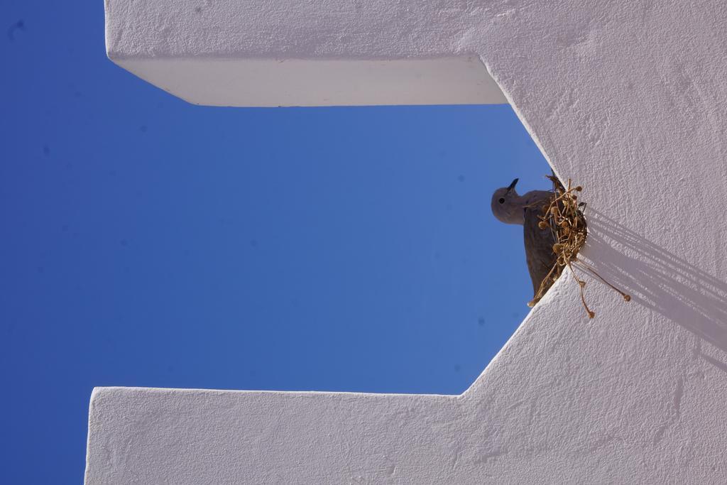 Riad Ksar El Jadida Maroc Extérieur photo